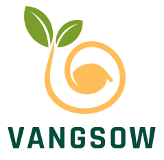VANGSOW LLC.